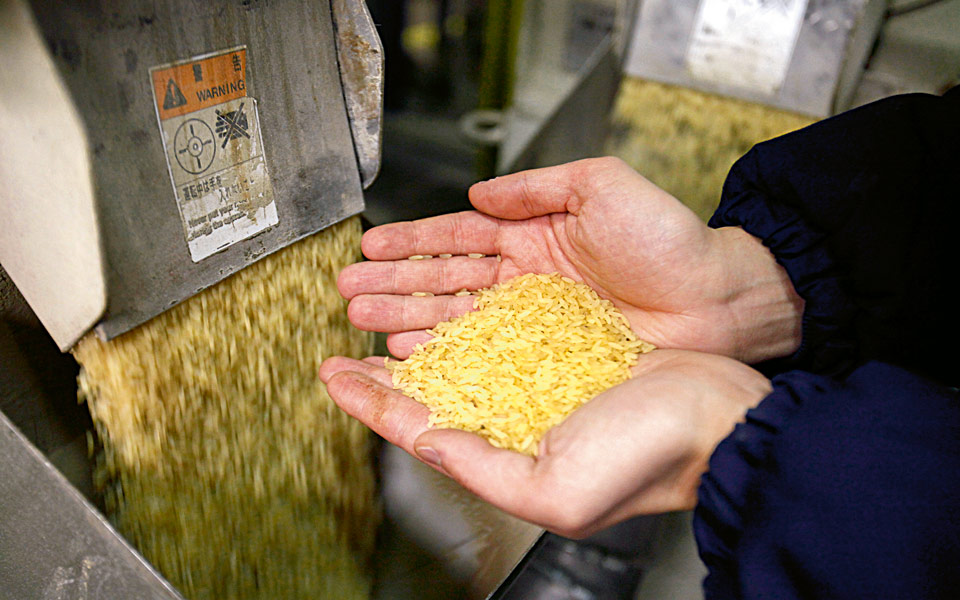 το-μυστικό-του-γρήγορου-ρυζιού-2157271