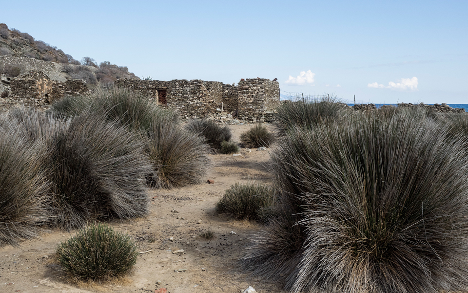 φώκιες-μύχοι-τρίτωνες-στην-αναγεννημ-2157089