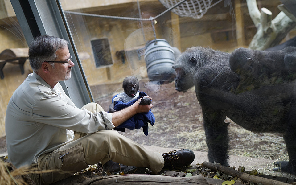 φωτογραφήματα-2162258