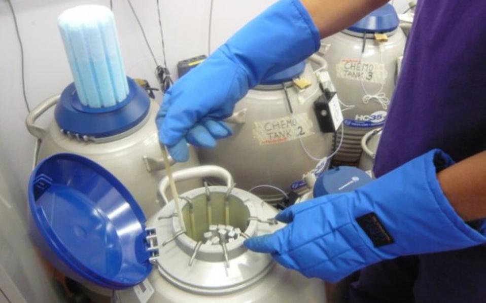 online-προβλέψεις-για-τις-εξωσωματικές-2161404