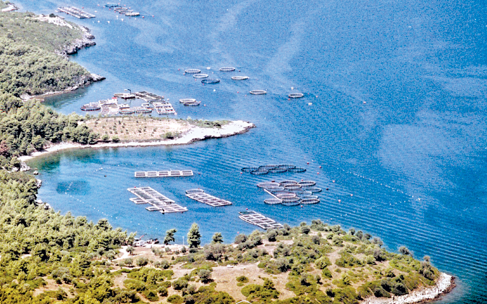 πρώτη-φορά-τάξη-στον-θαλάσσιο-χώρο-2162820