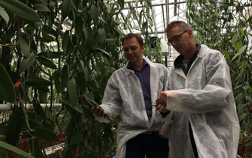 φωτογραφήματα-2161256