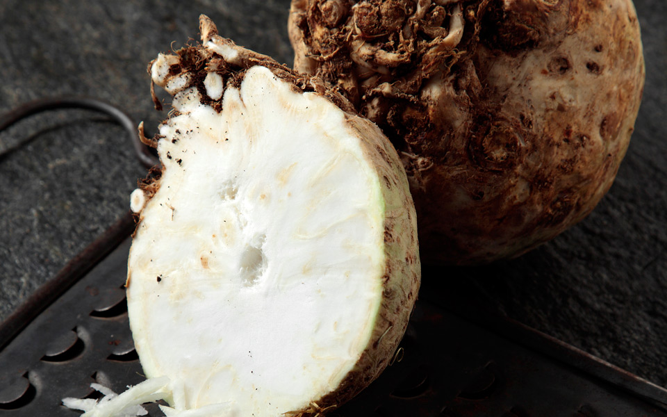 σελινόριζα-ο-μυρωδάτος-βολβός-2161396