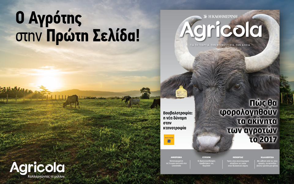 agricola-2160644