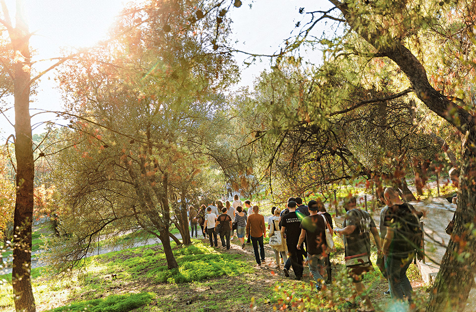 λαγωνικά-πόλεων-στην-αθήνα-2160757