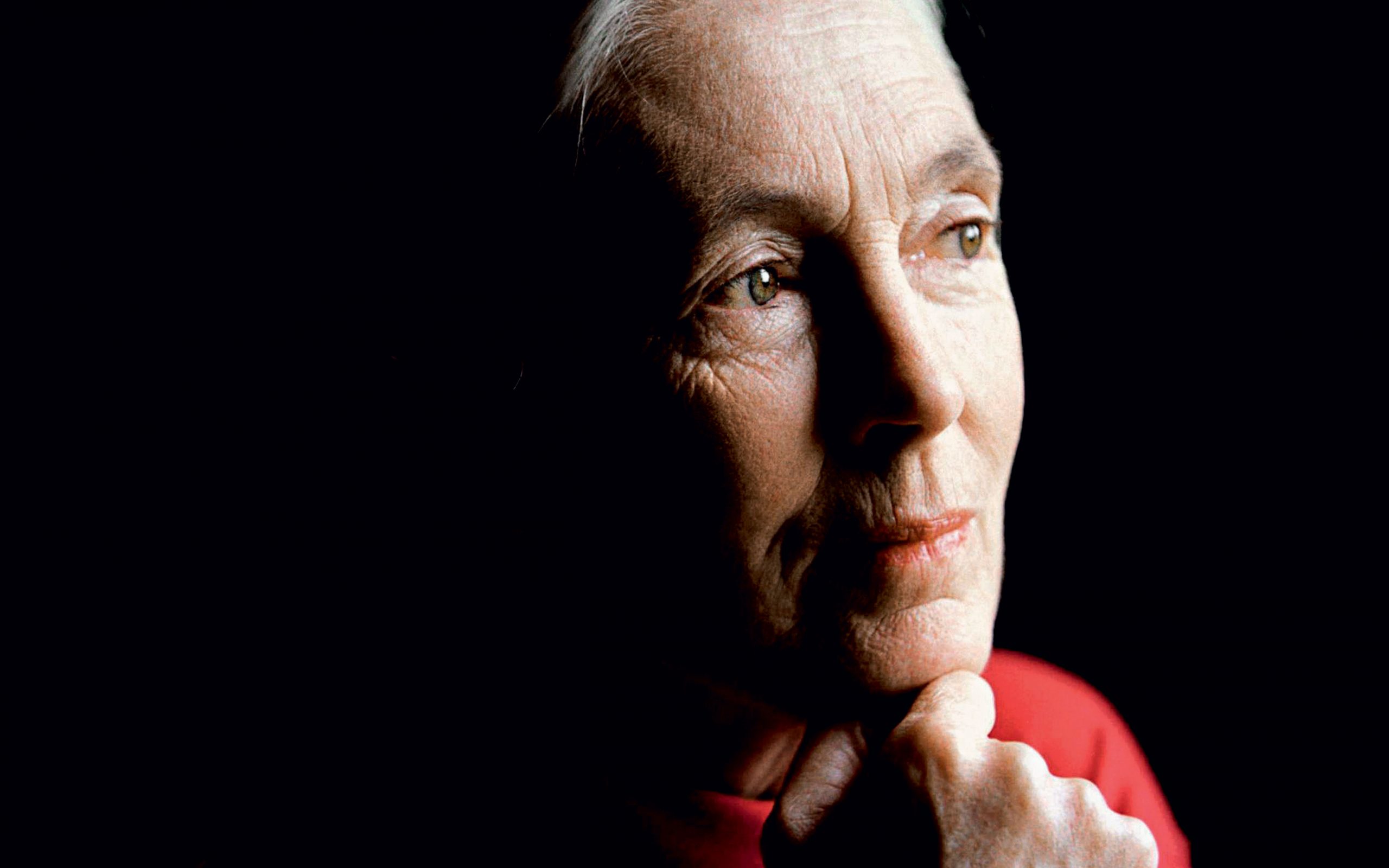 η-jane-goodall-στο-κ-never-give-up-2161111