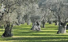 στην-17η-θέση-η-ελλάδα-στην-αντιμετώπιση-2161118