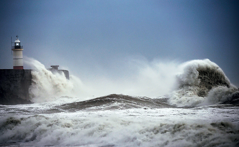 σαρωτικός-angus-2162439