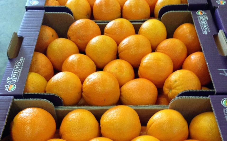 κρούσματα-σκορβούτου-στην-αυστραλία-2163386