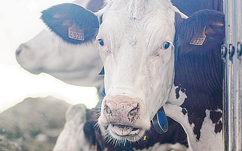 αυξημένες-οι-εκπομπές-μεθανίου-2165418