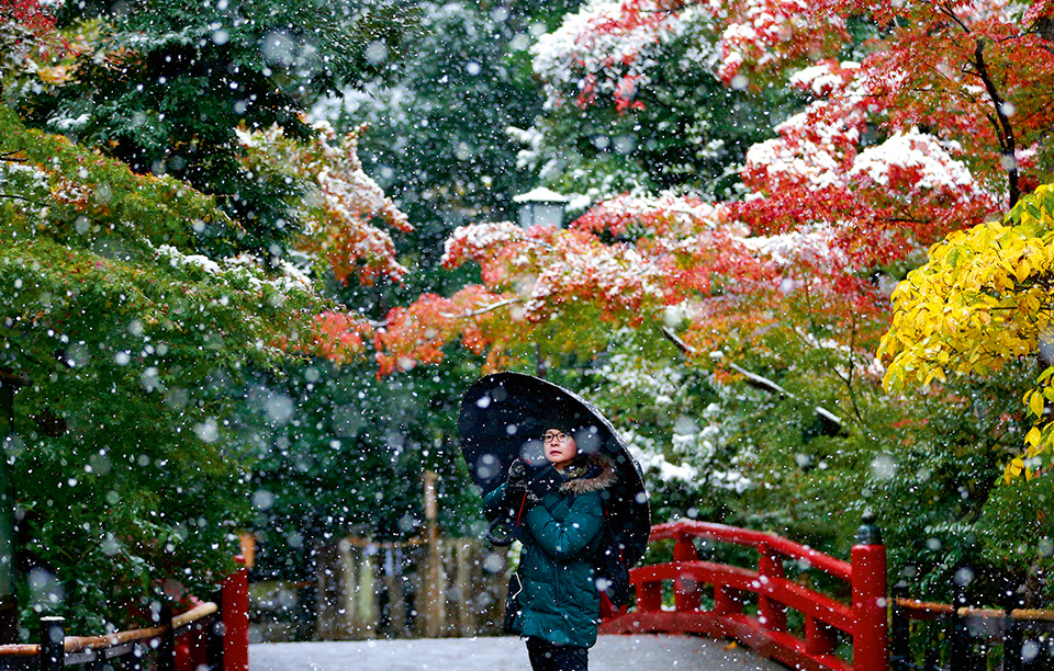 χιόνια-στις-κερασιές-2163665