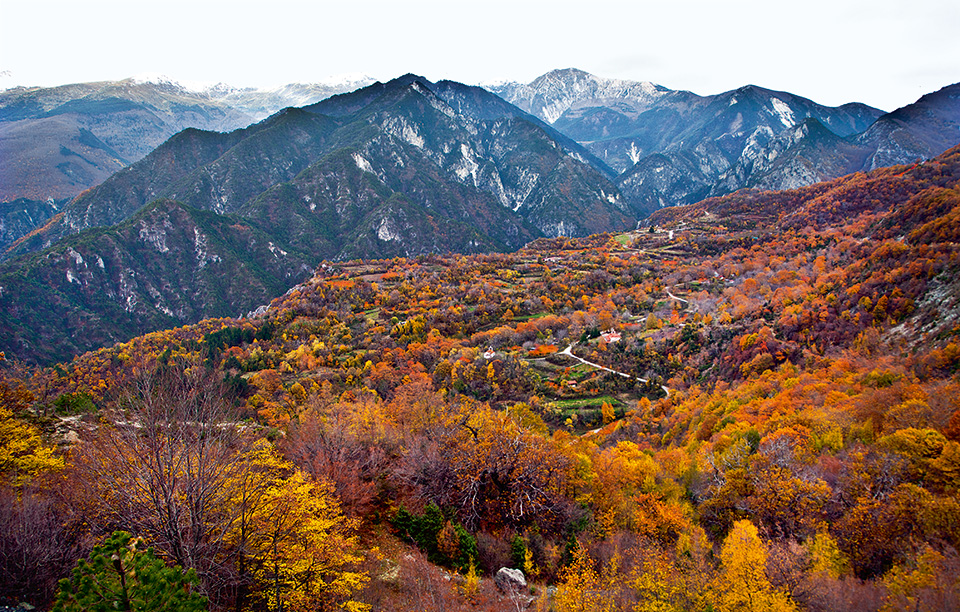 καϊμάκτσαλαν-χειμερινή-πανδαισία-2166038