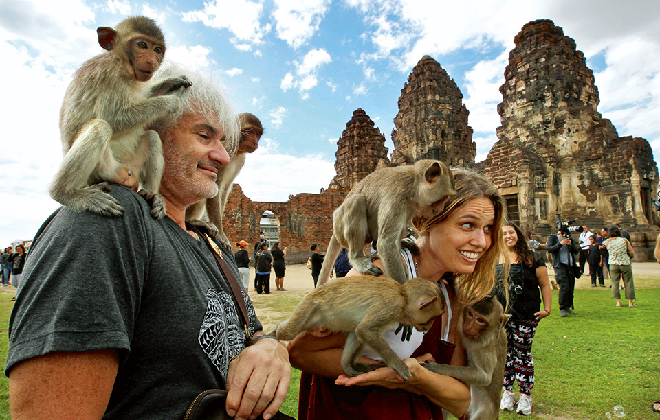 πάρτι-μαϊμού-2163667