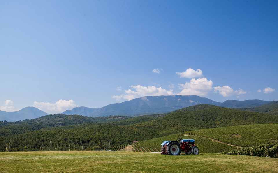 οινολογιστικές-διαφορές-2163624