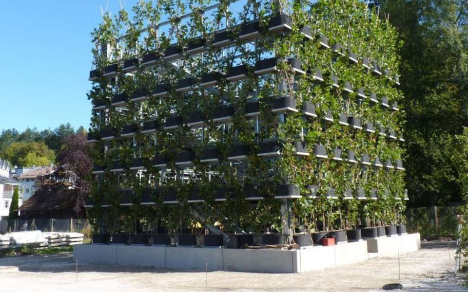 γερμανία-θεμέλια-στο-σπίτι-από-δέντρα-2163869