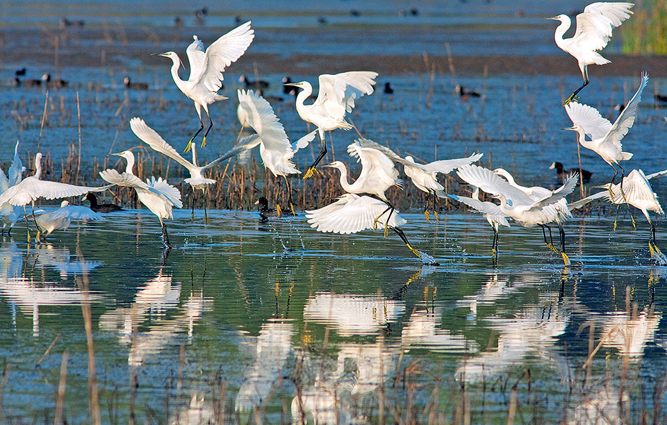 βραβευμένη-αειφορία-στο-sani-resort-2167720