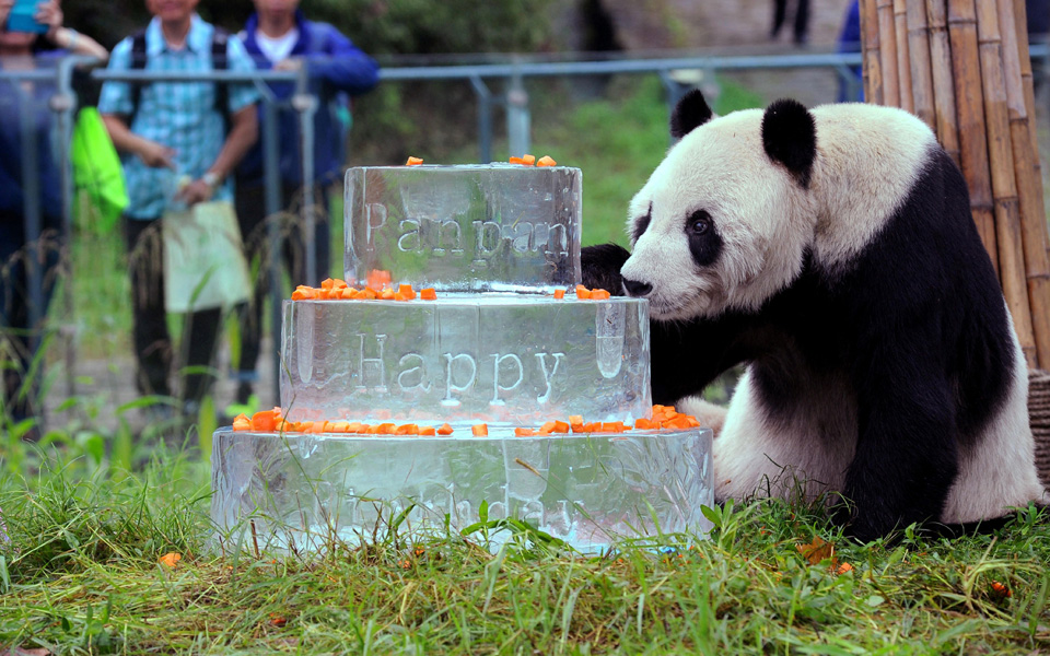 το-αρκουδάκι-παν-παν-έφυγε-100-χρόνων-2168003