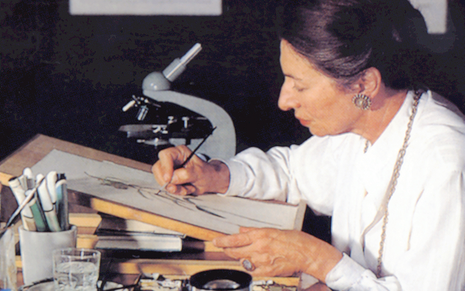 tο-πρόγραμμα-2017-του-mουσείου-γουλανδρή-φυ-2171594