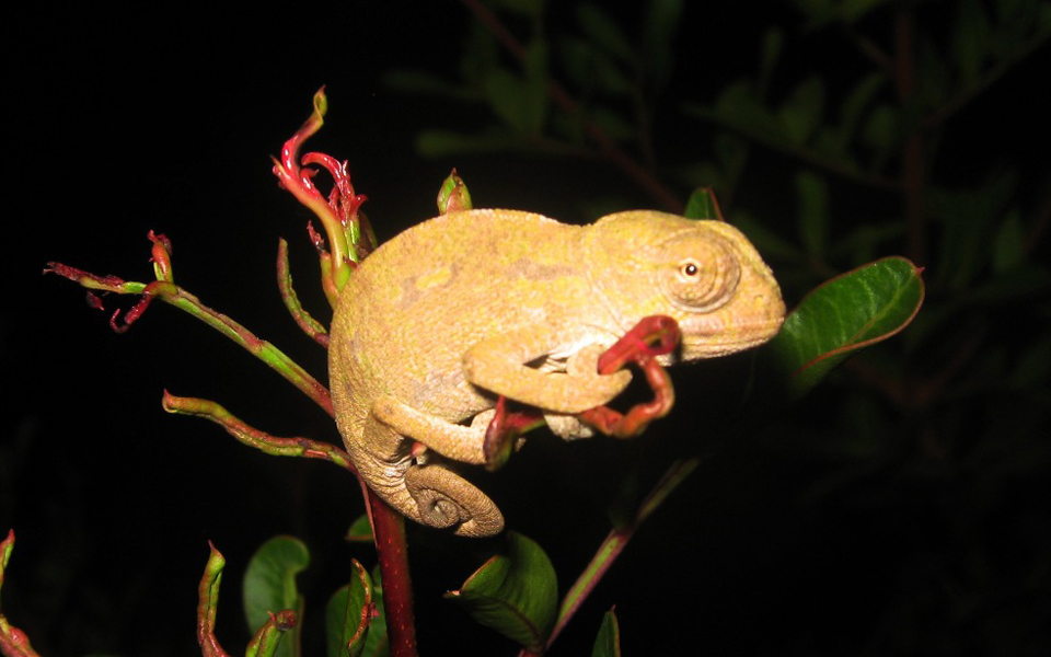 καταφύγιο-σπάνιων-ειδών-η-σάμος-2171215