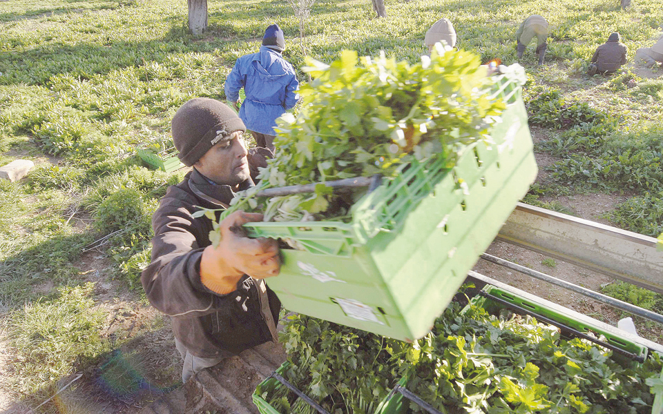 προώθηση-έρευνας-και-καινοτομίας-σε-ν-2172459