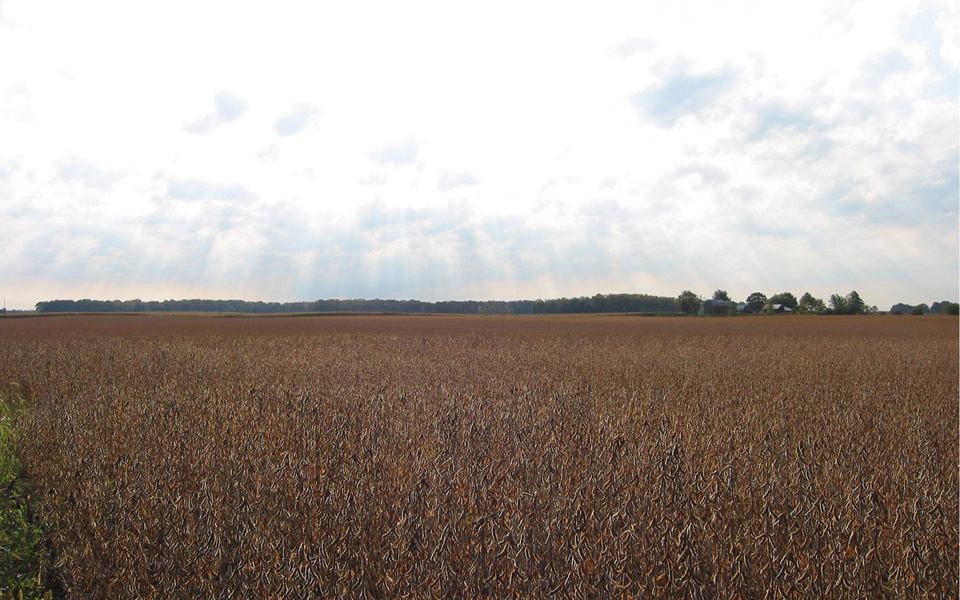 τι-τρώνε-οι-κυρίαρχοι-του-κόσμου-2169682