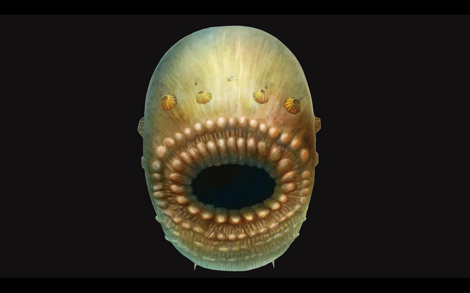 ο-μικροσκοπικός-πρόγονος-του-ανθρώπο-2172992