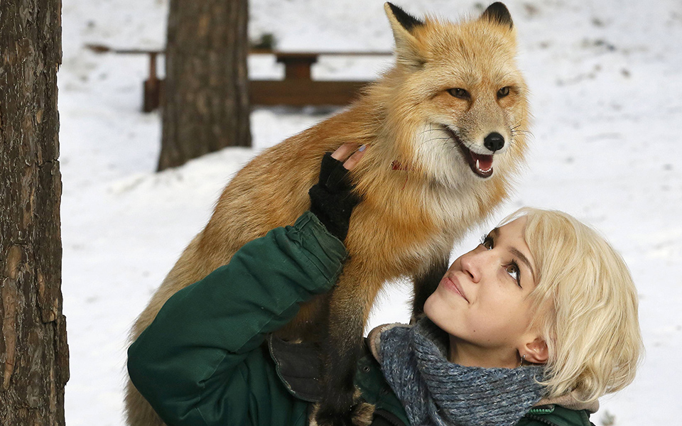 φωτογραφήματα-2174337