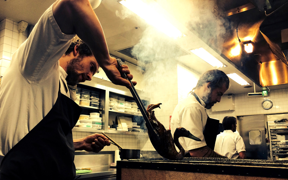 εντομοφαγία-και-αστέρια-μισελέν-2174695