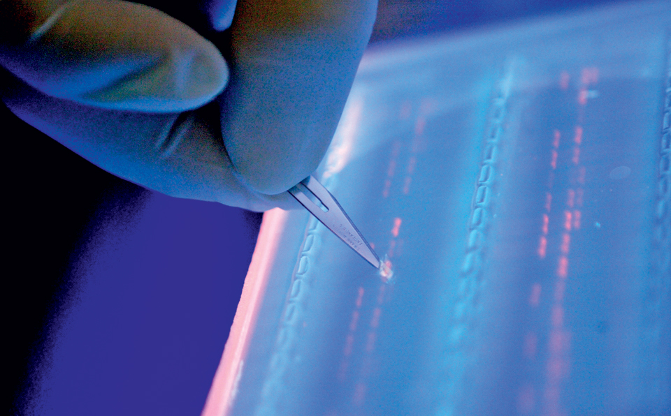 γενετική-τροποποίηση-υπό-όρους-2175614