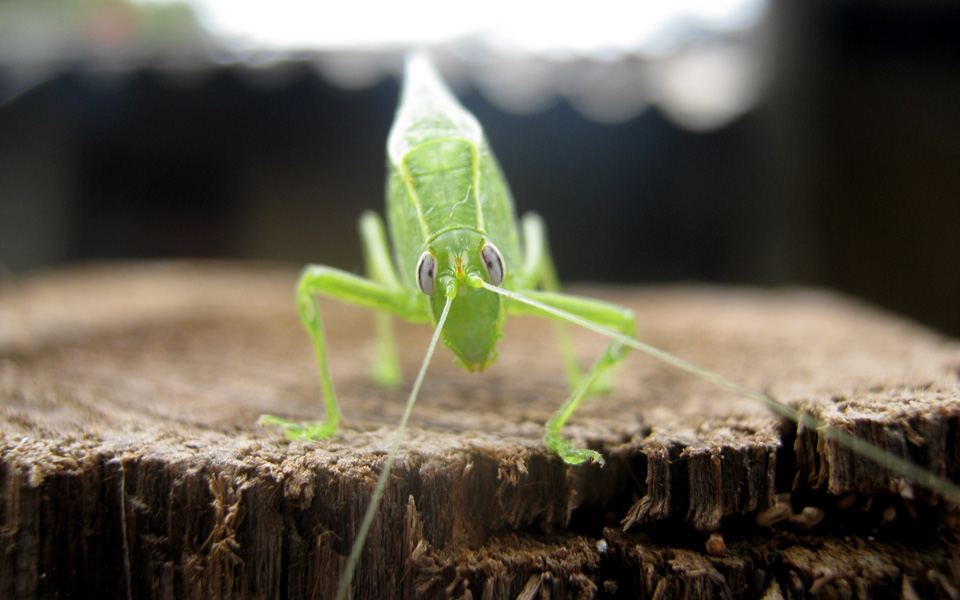 φωτογραφίζοντας-στο-σκοτάδι-2175728