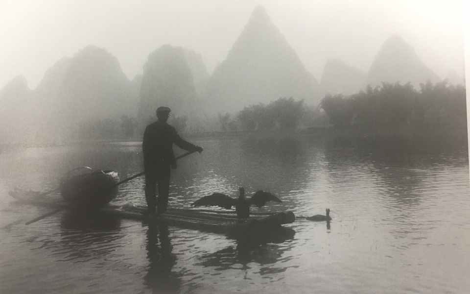 τροφή-και-επιβίωση-το-2017-2177153