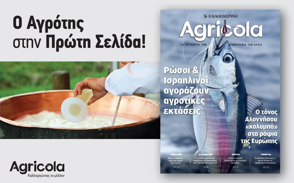 agricola-2175056