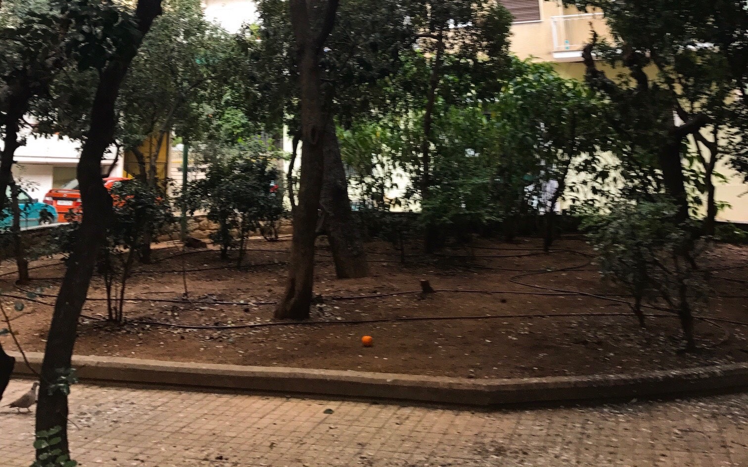 o-ρομαντικός-απόηχος-της-κοινότοπης-οδ-2177365