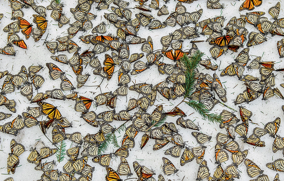 tο-πιο-δύσκολο-ταξίδι-2175919