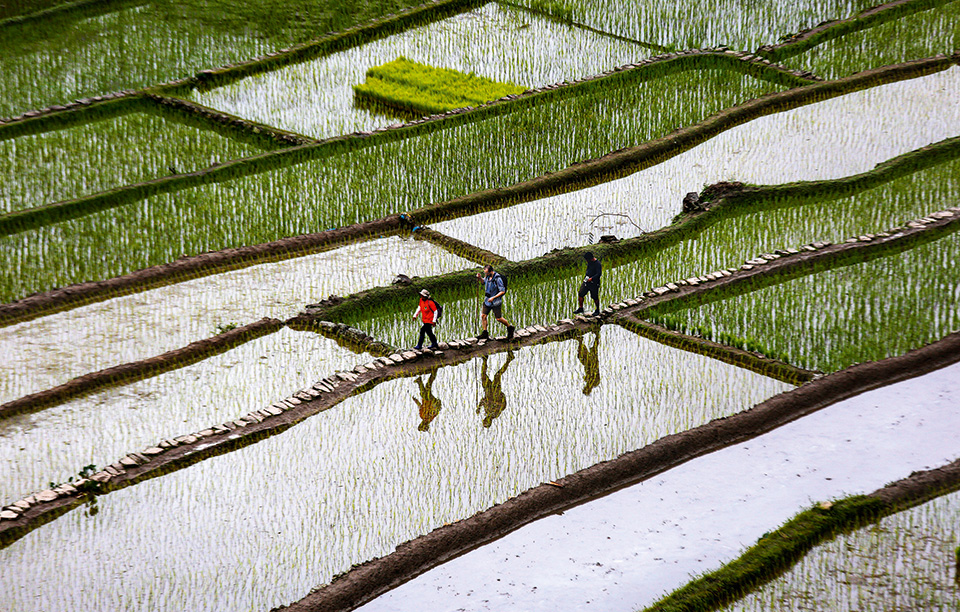 το-όγδοο-θαύμα-του-κόσμου-2177274