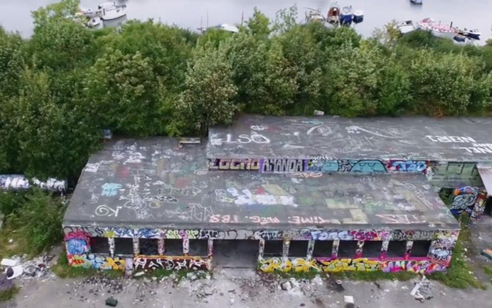 ενα-ματσάκι-φρέσκο-μαϊντανό-2175704