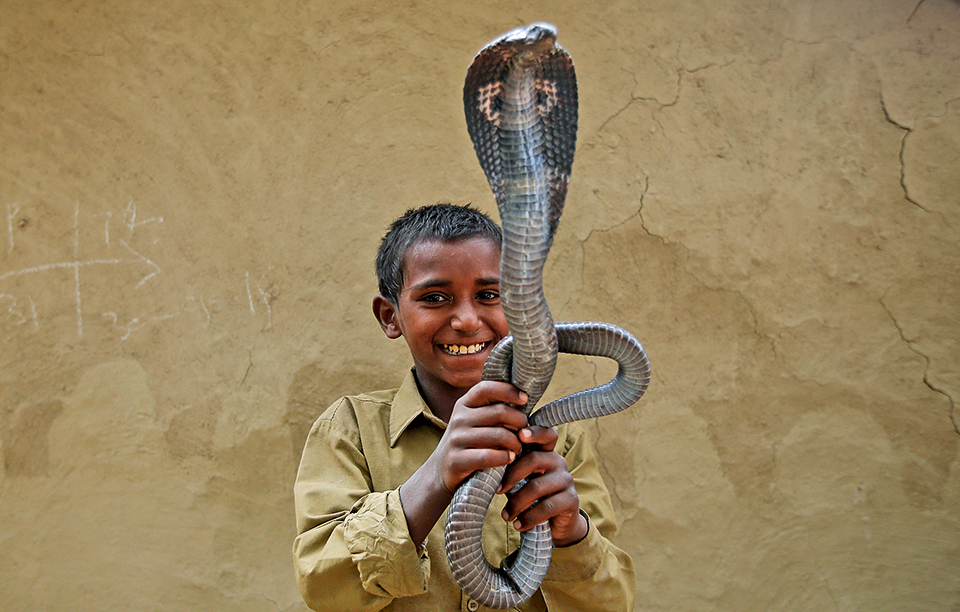 ο-γητευτής-των-φιδιών-2173562