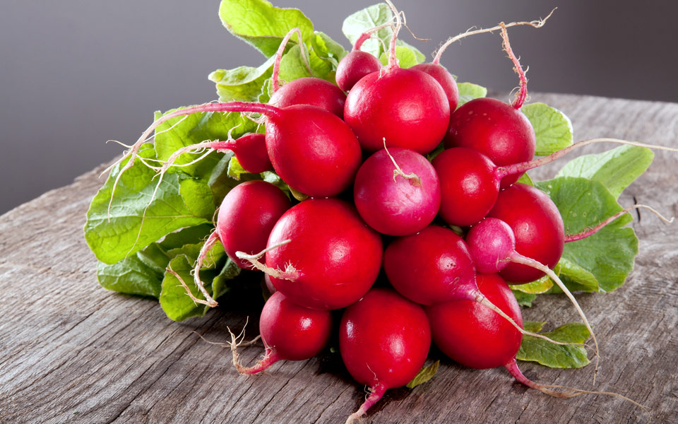 ραπανάκια-για-την-όρεξη-2174497