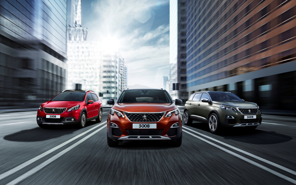 peugeot-ηγέτης-στην-γαλλική-αγορά-το-2017-2175766