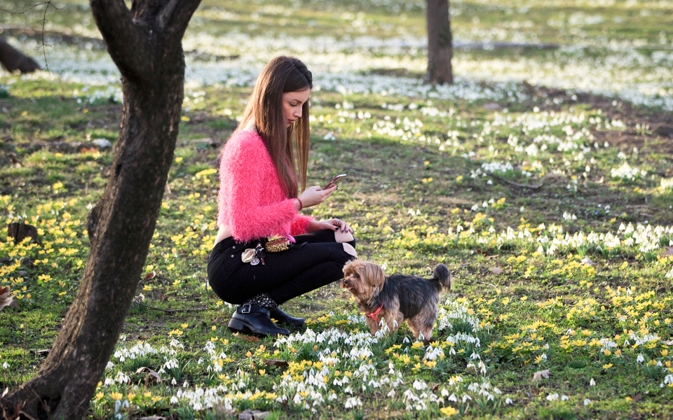προ-των-πυλών-νέα-ρεκόρ-θερμοκρασίας-2181288