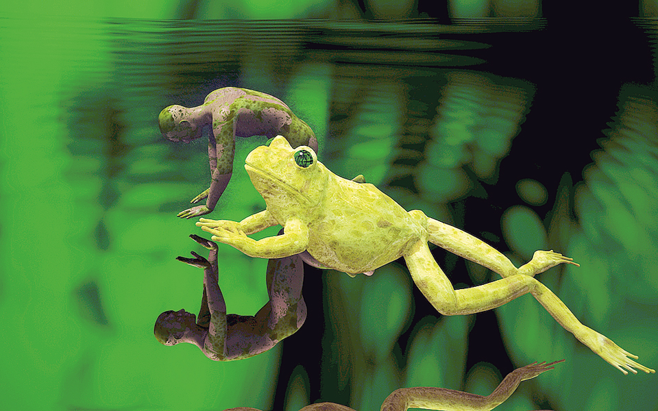 από-την-κίνα-στη-νότια-αμερική-και-από-τ-2182525