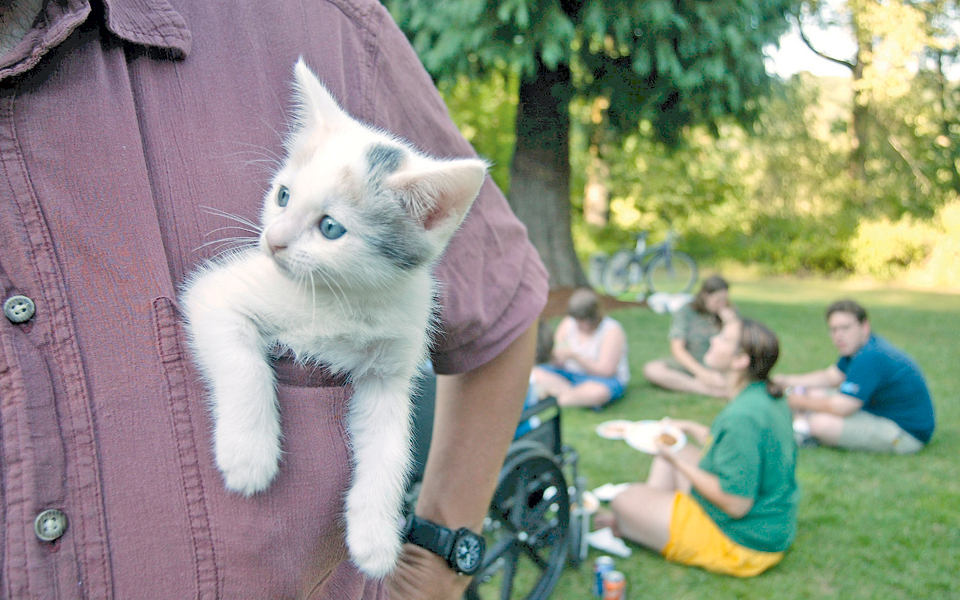 νέα-επιστημονική-μελέτη-αποδαιμονο-2182673