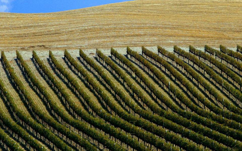 κοντά-μας-υπέροχη-γεμάτη-αμπελώνες-2180544