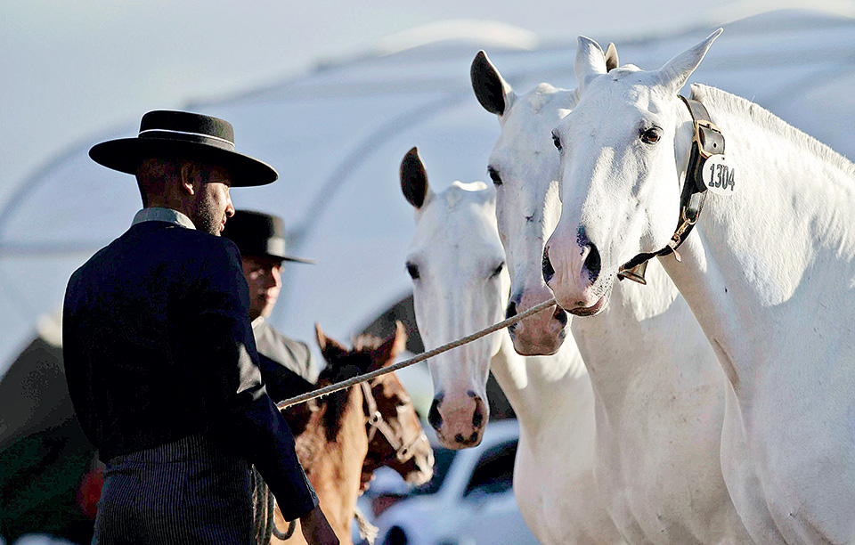 τα-άλογα-ήταν-η-αφορμή-2179400