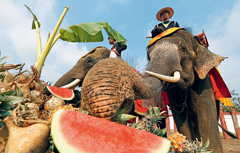 αυτό-θα-πει-γιορτή-2180924