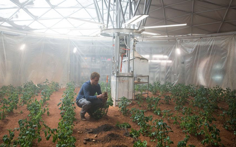 για-φανατικούς-καλλιεργητές-2177840