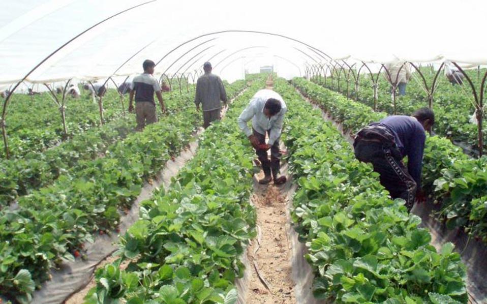 το-ευρωπαϊκό-δικαστήριο-δικαίωσε-τα-θ-2182730