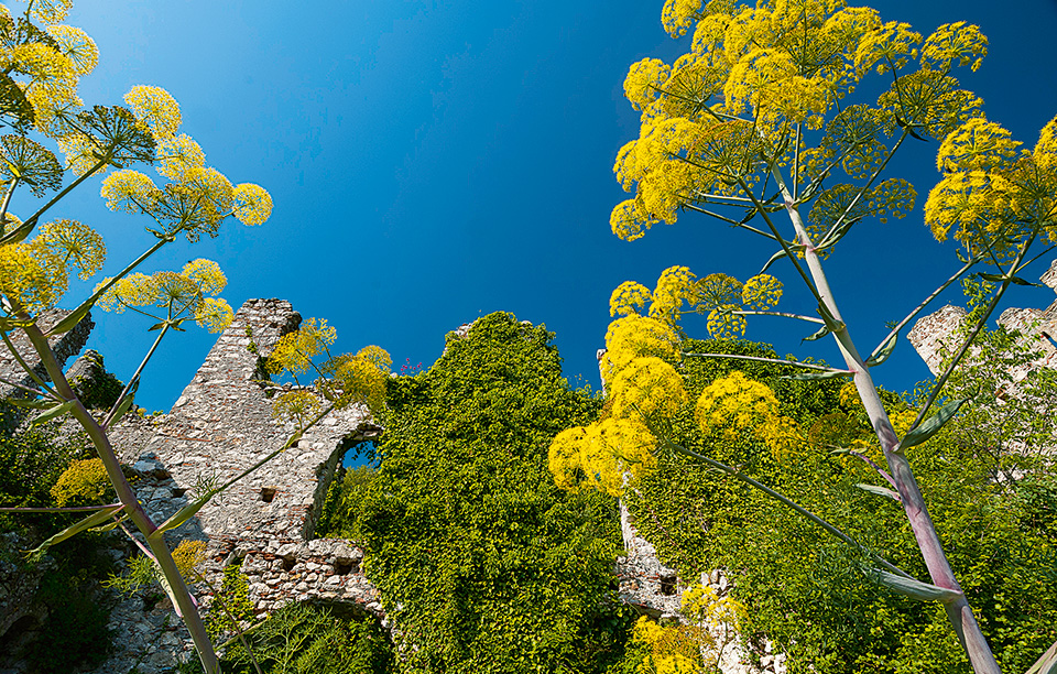 μυστράς-σπάνια-μυσταγωγία-2182351
