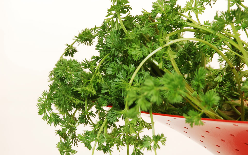 μυρώνια-λεπτεπίλεπτα-και-αρωματικά-2181301