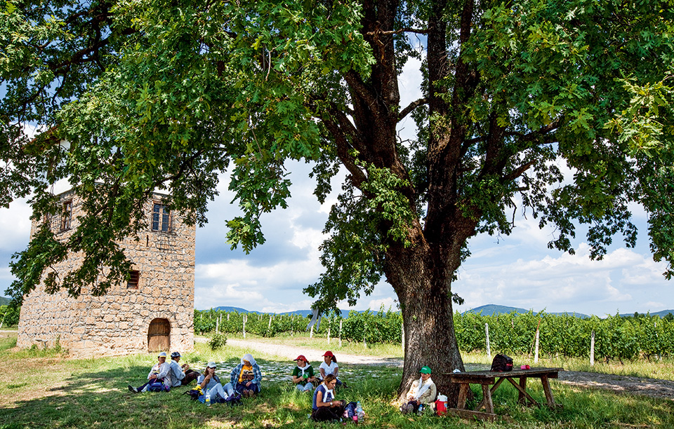 νάουσα-ανθισμένο-αλπικό-τοπίο-2182111